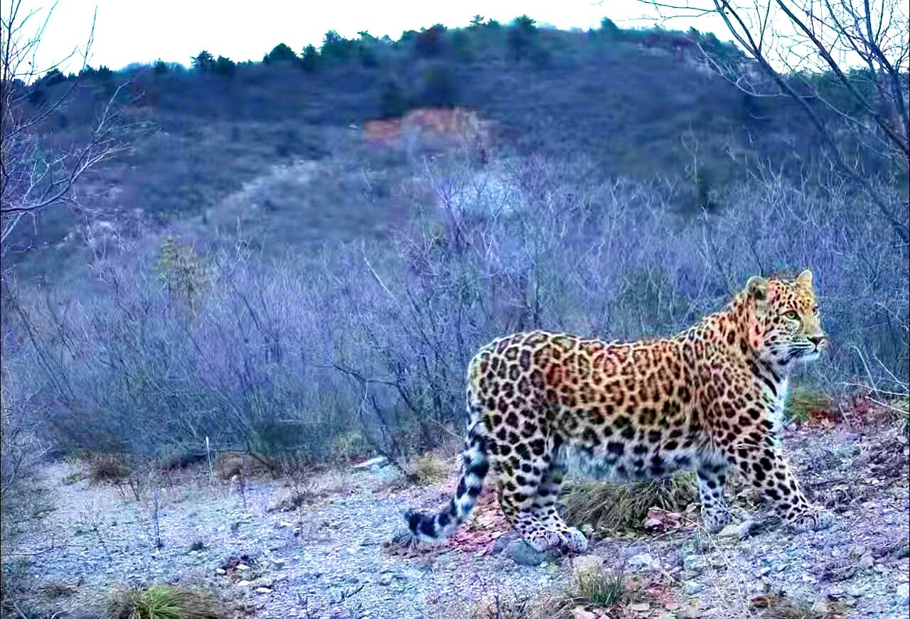 A׬F(xin)ϲۿh״ĵAӰ